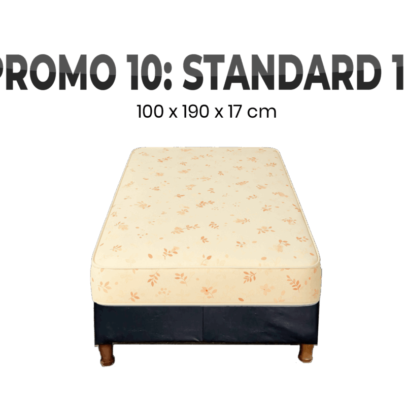 PROMO 10 SOMMIER 100 X 190 STANDARD 17cm