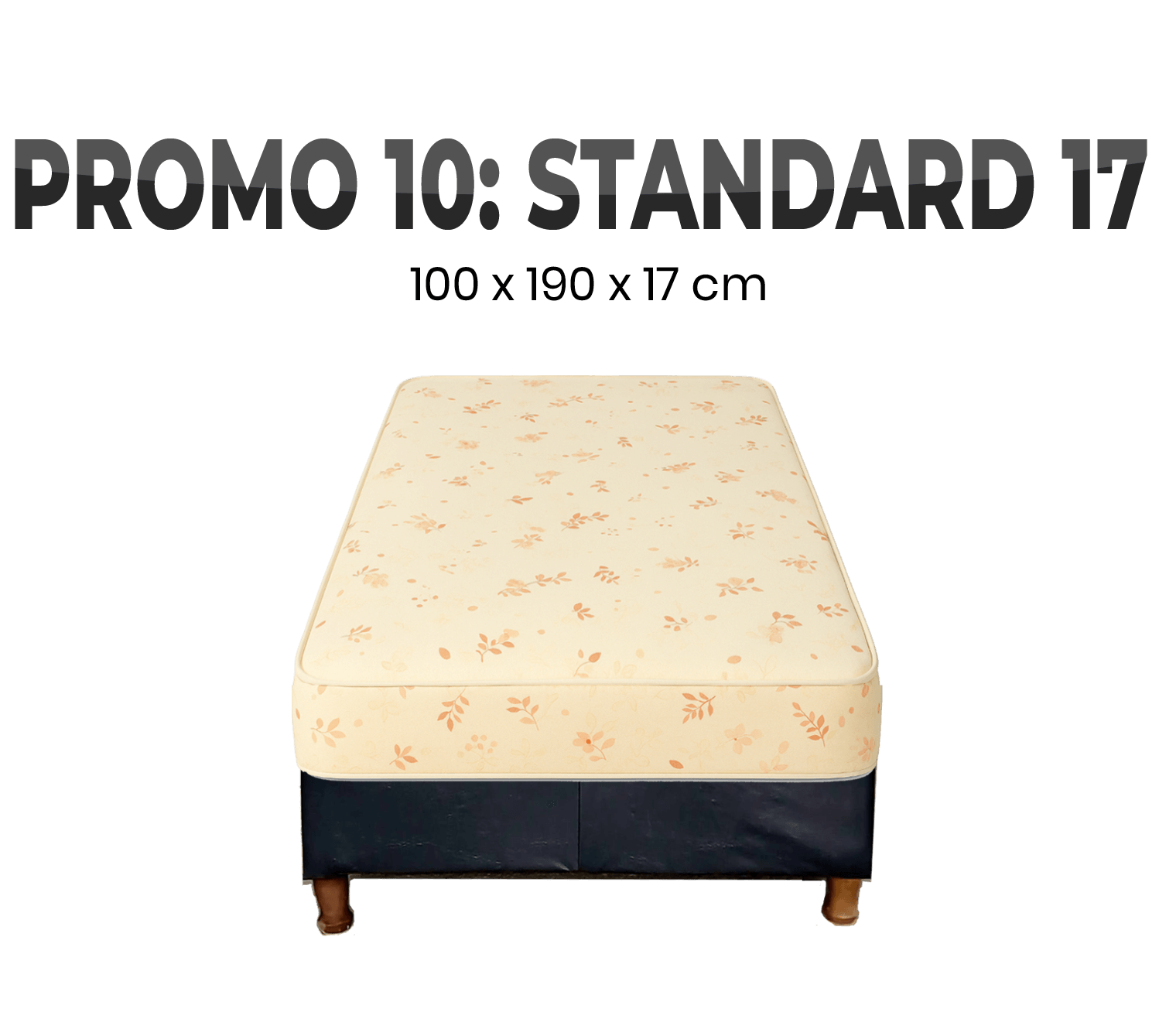 PROMO 10 SOMMIER 100 X 190 STANDARD 17cm