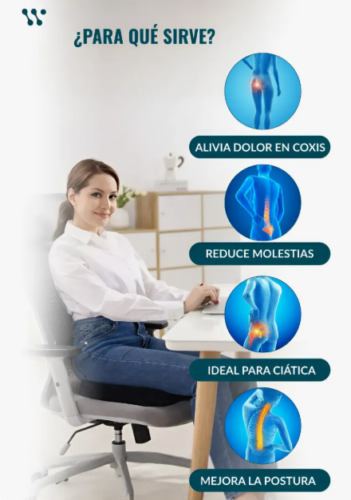 Almohadon Asiento Oficina Postural Respaldo Sacro Lumbar